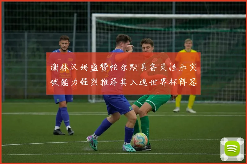 谢林汉姆盛赞帕尔默具备灵性和突破能力强烈推荐其入选世界杯阵容
