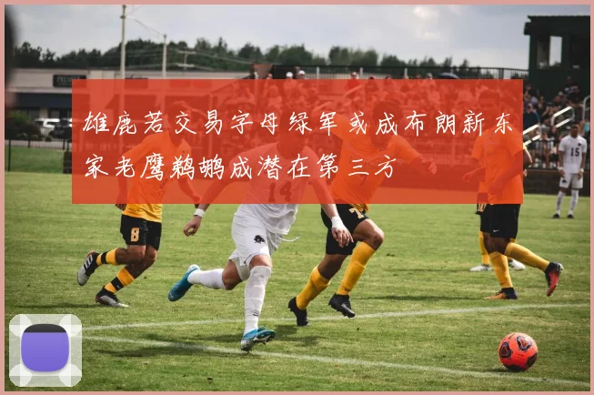 雄鹿若交易字母绿军或成布朗新东家老鹰鹈鹕成潜在第三方